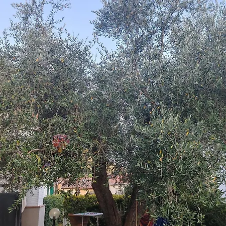 Apartman Casa Di Enrico Il Prato